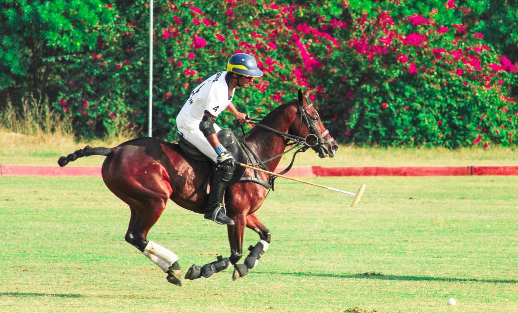 Sona Polo in joust with 61st Cavalry for the first day